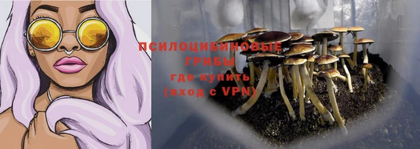 Альфа ПВП Беломорск