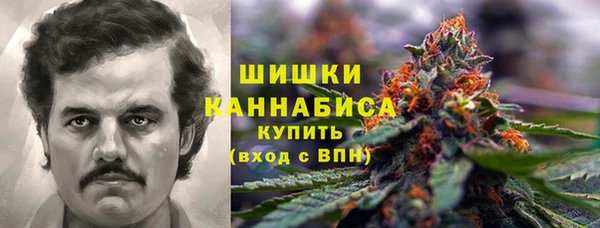 ПСИЛОЦИБИНОВЫЕ ГРИБЫ Баксан